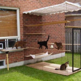 Udělej si sám voliéra pro kočky na venkově - designové prvky